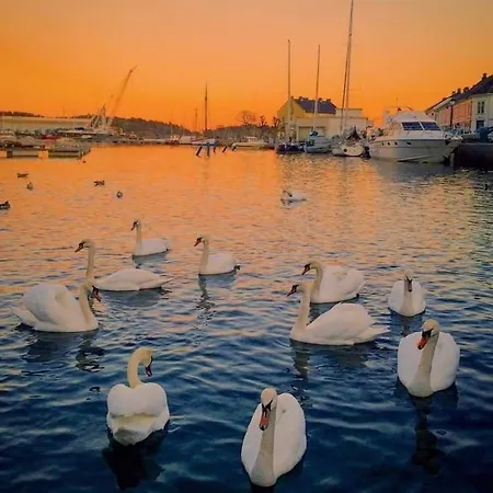 Сasa de vacaciones Great House In Centre