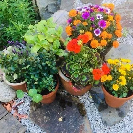 Сasa de vacaciones Great House In Centre